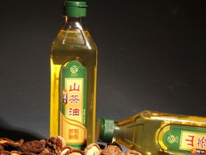 食用油選擇指南 從標簽到搭配，科學選油更健康